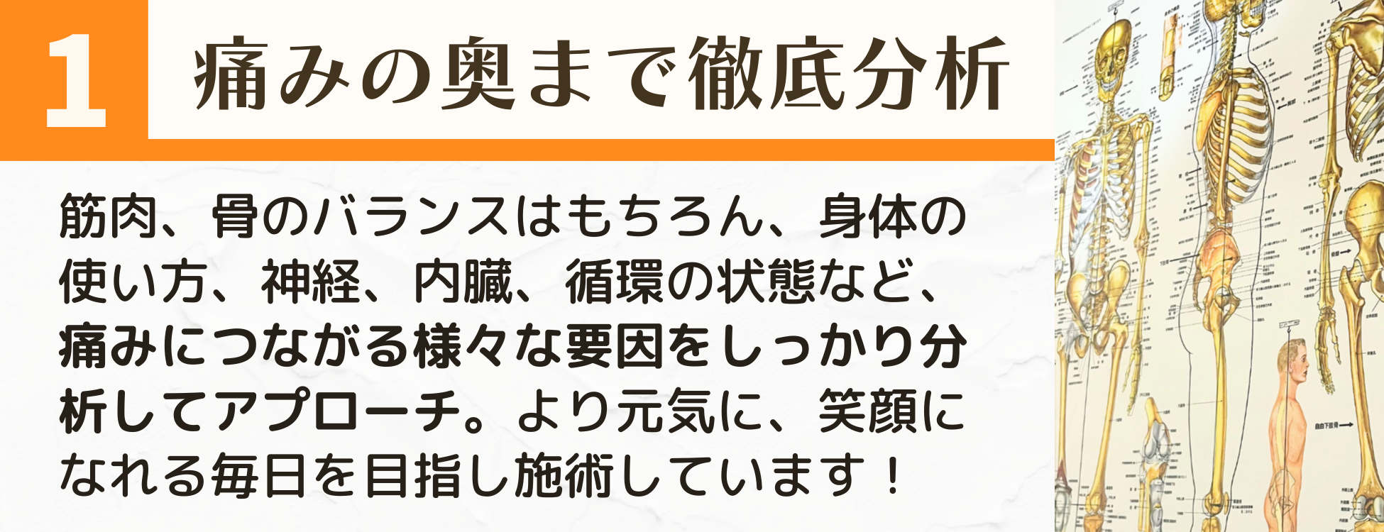 痛みの奥まで徹底分析